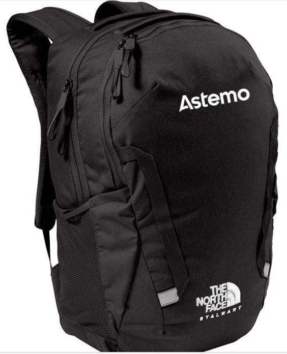 north face backpack stalwart The TNF Black Additional features include large main compartment with padded 15 laptop sleeve The North Face Stalwart Backpack