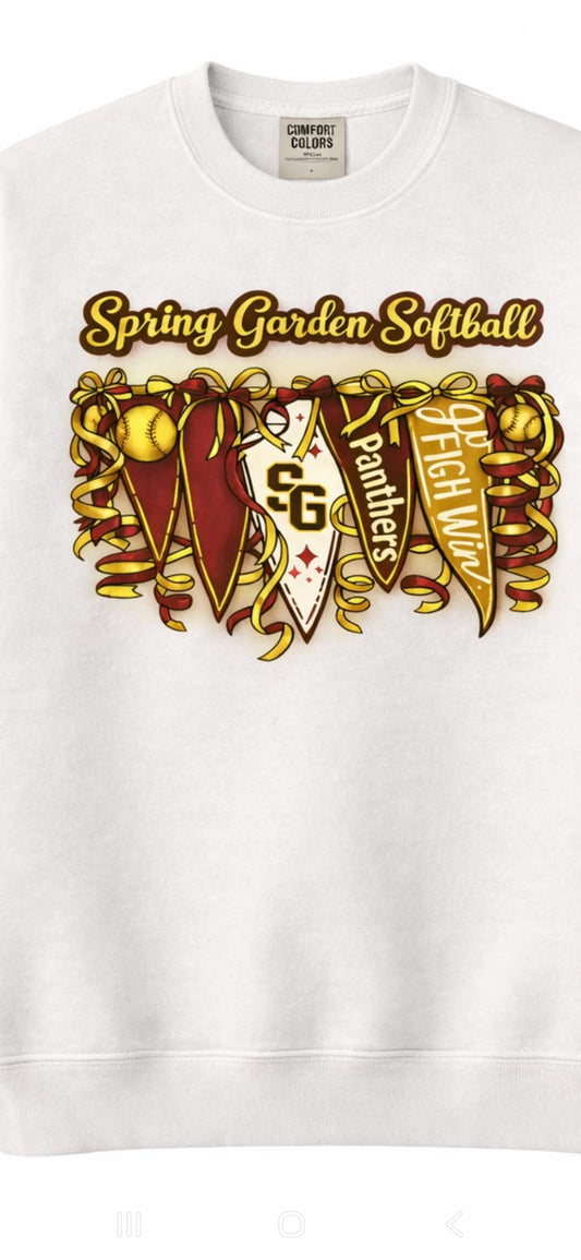 Panthers Banner tshirt Hoodie or Crewneck