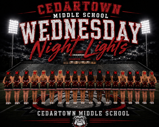 Friday Night Lights Cheer-individual or group! choose your school