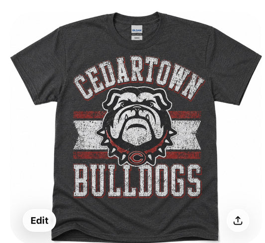 Vintage mascot Tshirt Sale- put school in notes