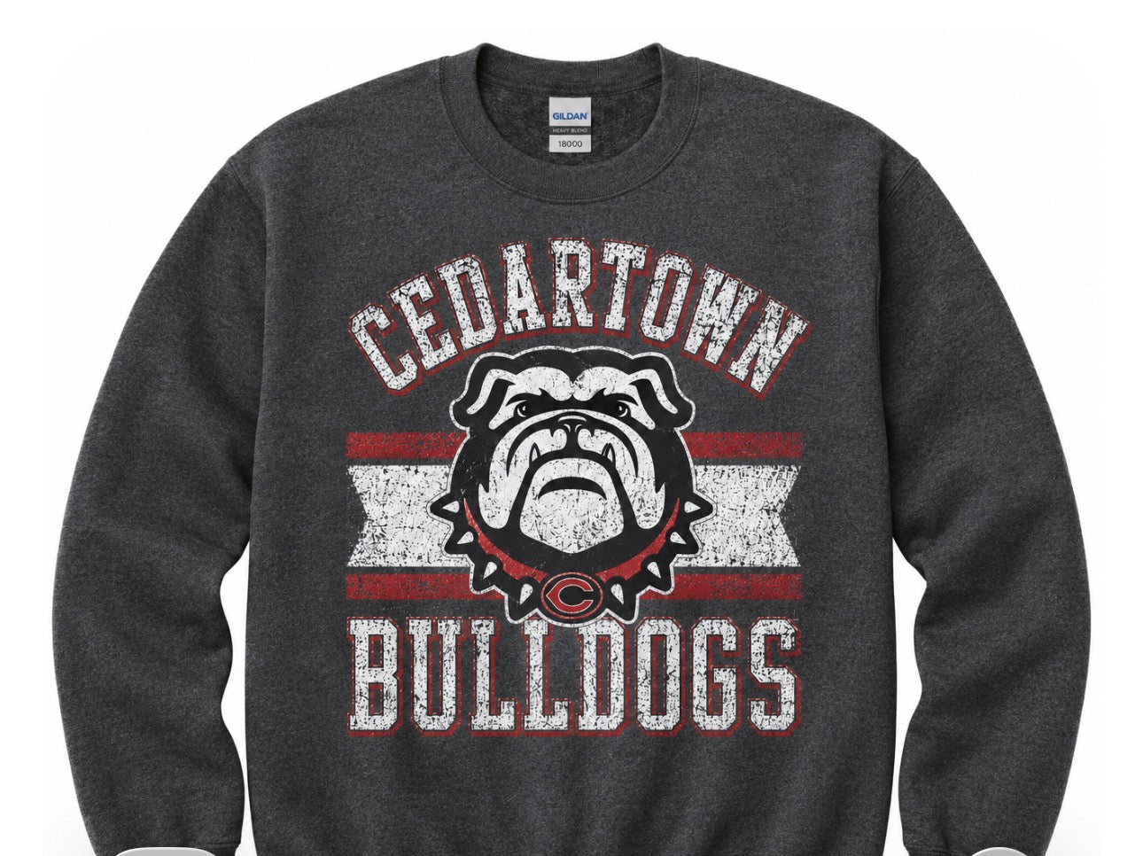 Vintage mascot CREWNECK SWEATSHIRT Sale- put school in notes