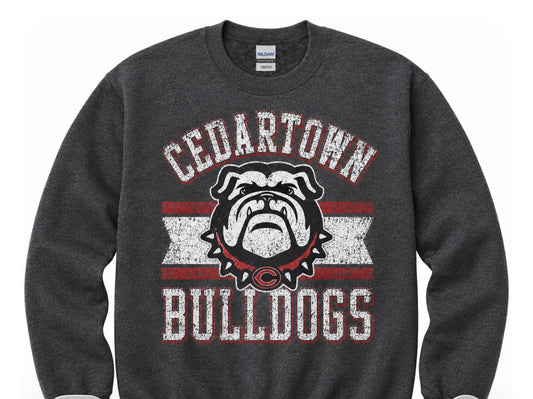 Vintage mascot CREWNECK SWEATSHIRT Sale- put school in notes