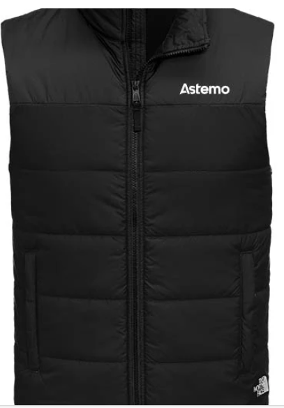 The North Face Insulated Vest Men's