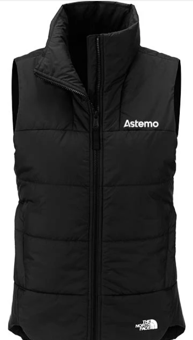 The North Face Insulated Vest Womens